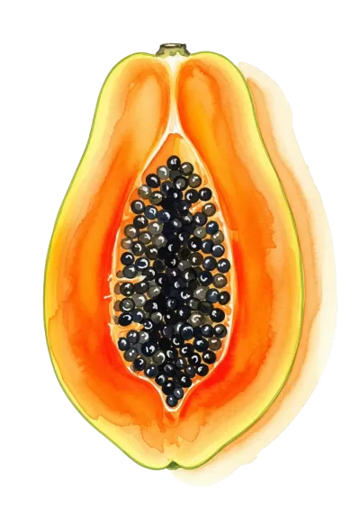 Imagen PNG para descargar